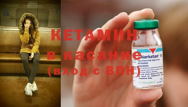 стаф Абаза
