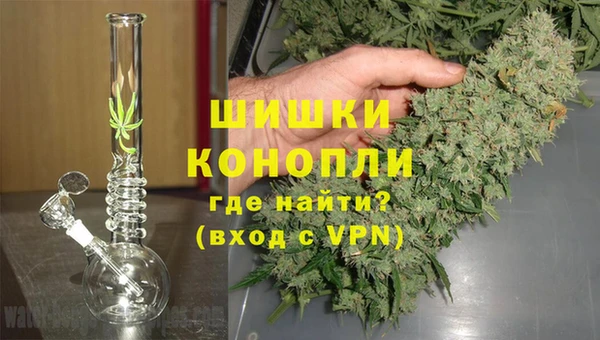 стаф Абаза