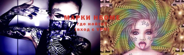 стаф Абаза