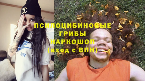стаф Абаза