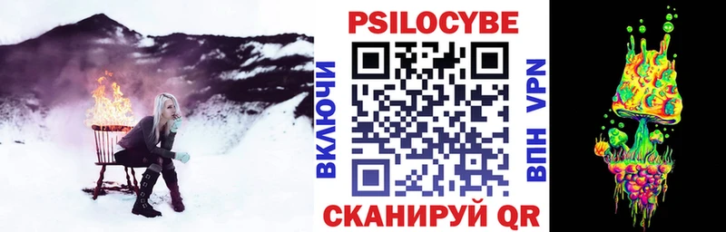 Псилоцибиновые грибы Psilocybe  как найти наркотики  Ртищево 